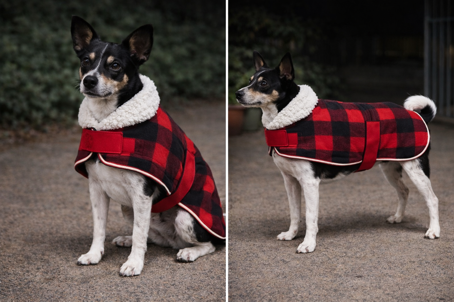 SHERPA COATS                           RED OR BLUE TARTAN